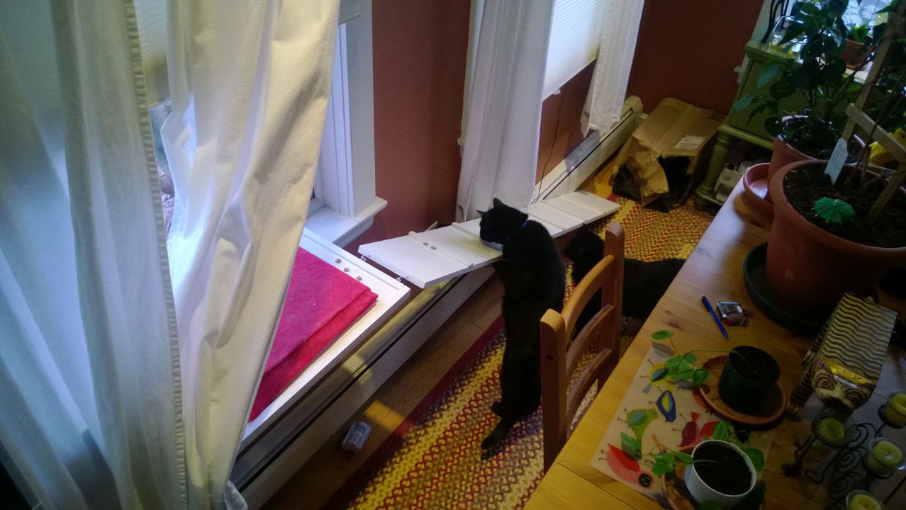 Dining Room Cat Platform – Part 2