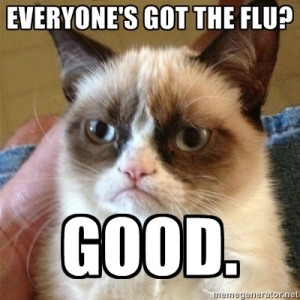 grumpy cat flu meme