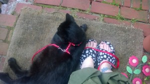 darwin on brick front stoop with me, leash and slippers
