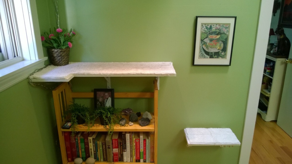 upstairs hall cat platform and bookcase