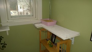 upstairs hall cat platforms and litter box