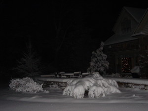 taken while housesitting in beverly farms