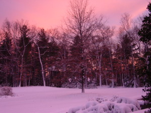 taken while housesitting in beverly farms