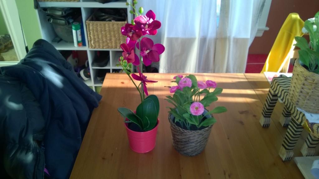 ikea fake orchid in red metal pot and fake daisy in basket pot