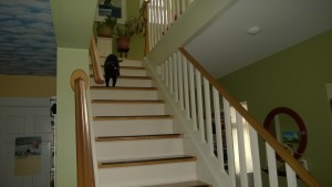 birdie coming down the stairs