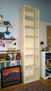 tall skinny bookcase in girl cave from martha