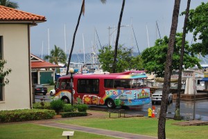 maui hawaii lāhainā pink public transport bus with whale tail
