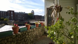 flower pots and orchid cactus in yard with ipswich river and ebsco