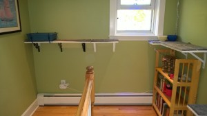 upstairs hall cat platforms with rug and litter box