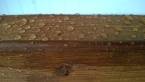 outdoor cat enclosure / catio thompson's waterseal waterproofing stain acorn