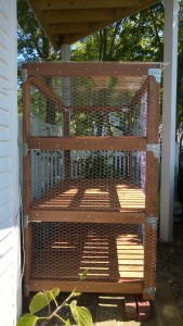 luan slats attached to outdoor cat enclosure / catio to cover the chicken wire staples