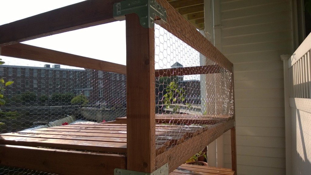 outdoor cat enclosure / catio chicken wire