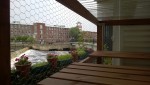 view of ipswich river, waterfall / dam, and riverwalk through the outdoor cat enclosure / catio