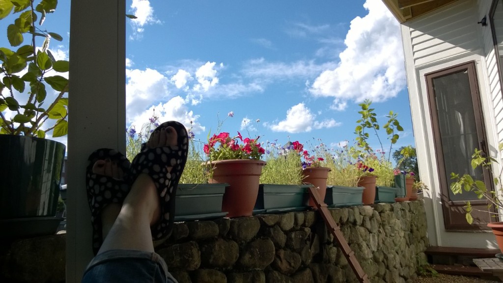 sitting outside the catio, enjoying the amazingly blue sky