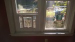 chubbykat cat door installed in new sash window in the dining room