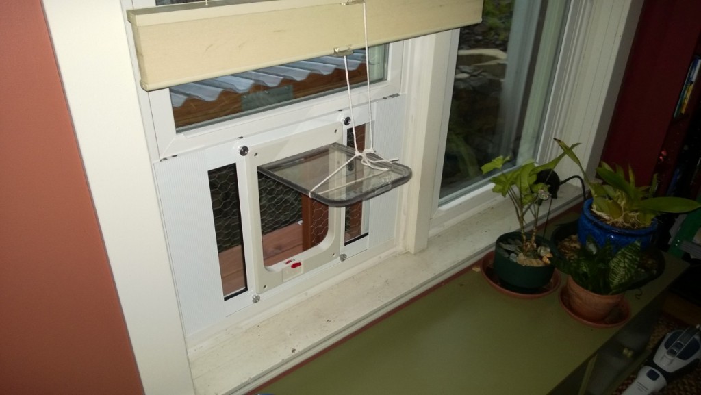 the cat door in the dining room window propped open with string