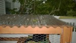 darwin enjoying a rainy morning in the outdoor cat enclosure / catio