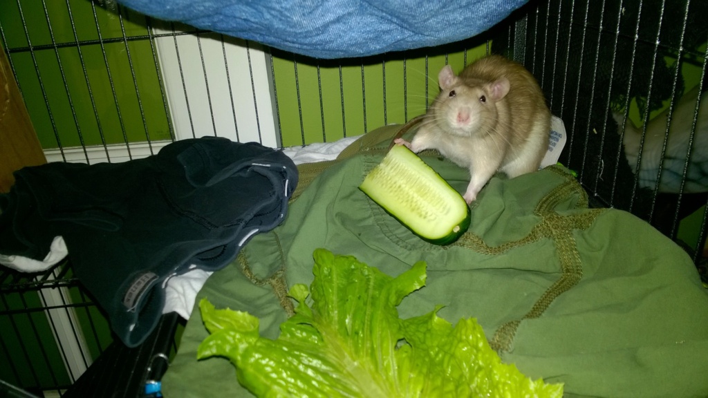franc eating a cucumber and smiling