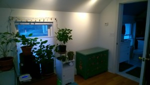 condo bedroom showing green bureau without tv