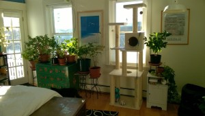 condo master bedroom reorg showing green bureau in new spot