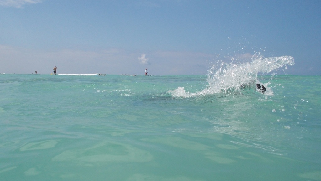 hubby making waves at waikiki beach, oahu, hawaii