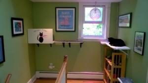 birdie and her new litter box and privacy screen in the upstairs hallway