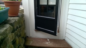 i painted the back door black on the outside and white on the inside