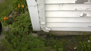 the gutter above the basement leak is pointed the wrong way!