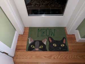 the awesome meow rug i bought in newburyport, ma