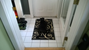 darwin sleeping on the new swirly front entrance hall rug