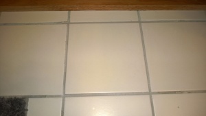 i replaced the cracked tile in the master bathroom