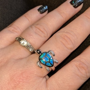 the turtle ring hubby gave me for our 7th anniversary