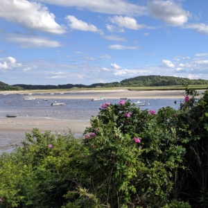 ipswich river from great neck with beach roses