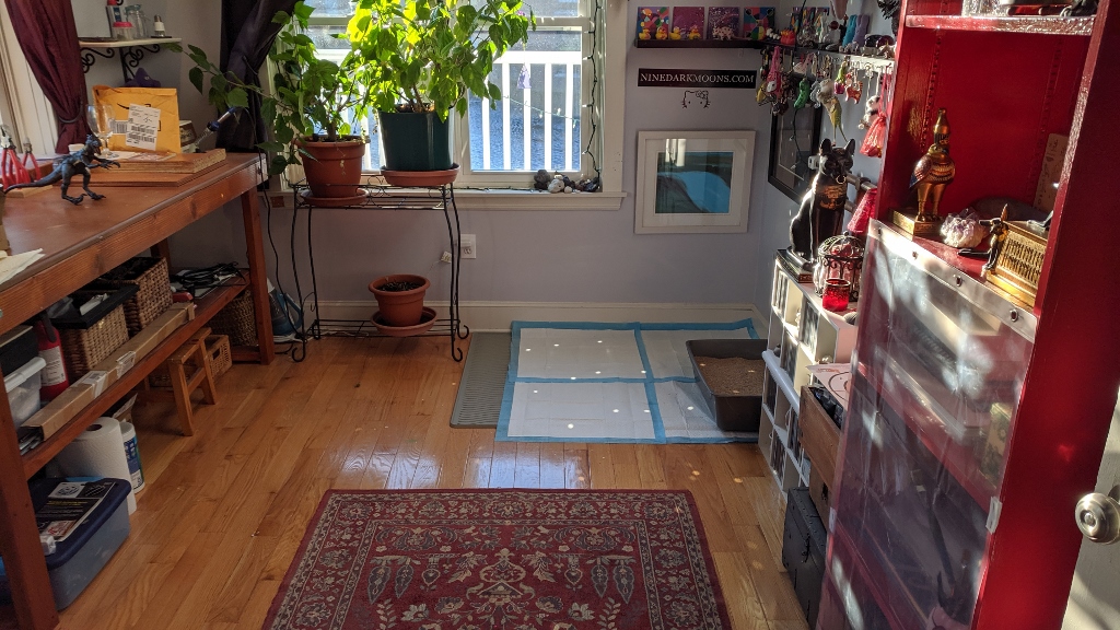 the girl cave was reorganized & squeaky clean in december 2019