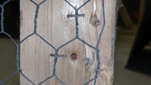 damage to the basement cage door frame where hinges used to be