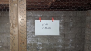 i labelled the basement cages & auxiliary storage areas