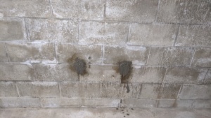 i patched holes in the basement wall with drylok hydraulic cement