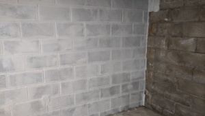 one coat of white drylok waterproofing sealant on the basement wall