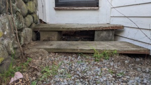 our back yard steps have needed replacing for years