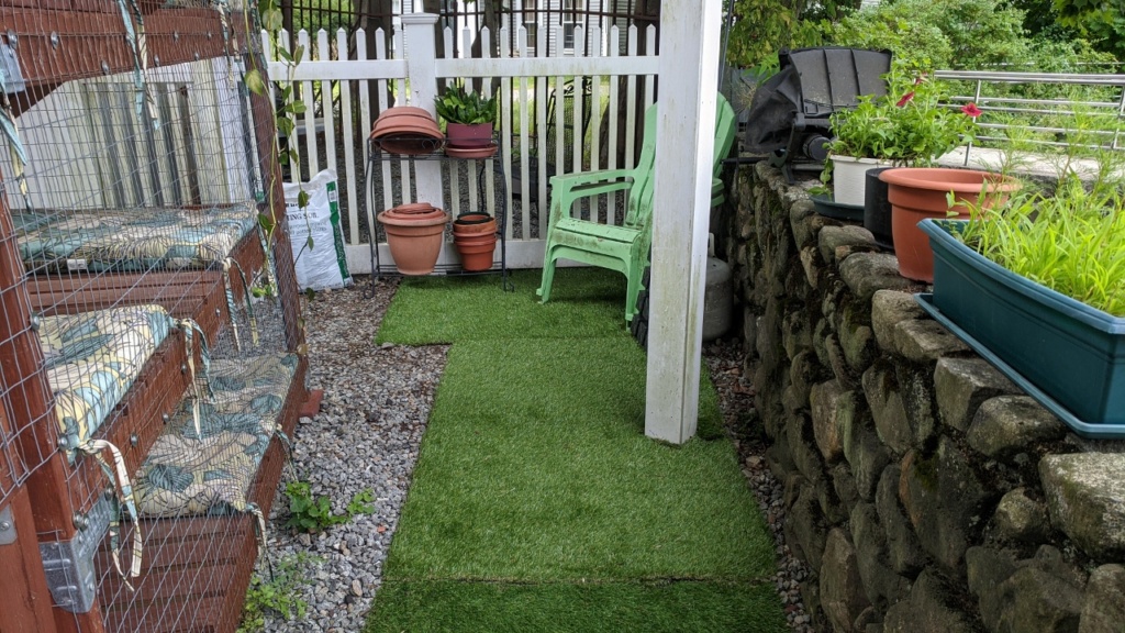 our yard looks great with 4 pieces of fake grass!