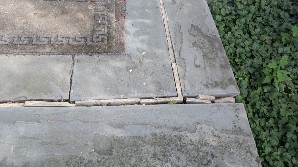 the mortar on the back slate steps was old and crumbly